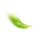 برگ سبز