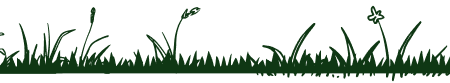 چمن