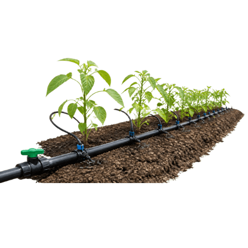 اجرای سیستم آبیاری