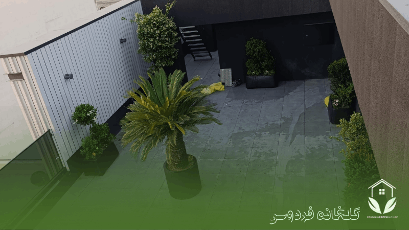 پروژه اقاقیا